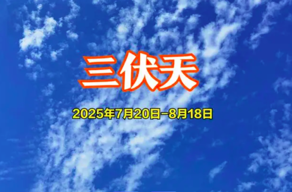 云操盘 三伏将至，“一瓜一豆”要多吃，含钾高清热消肿，天热也精神饱满