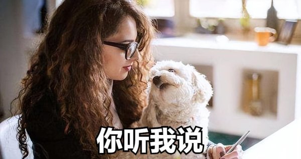 垒富优配 狗狗身上的11个小秘密，养狗多年的你，都未必知道